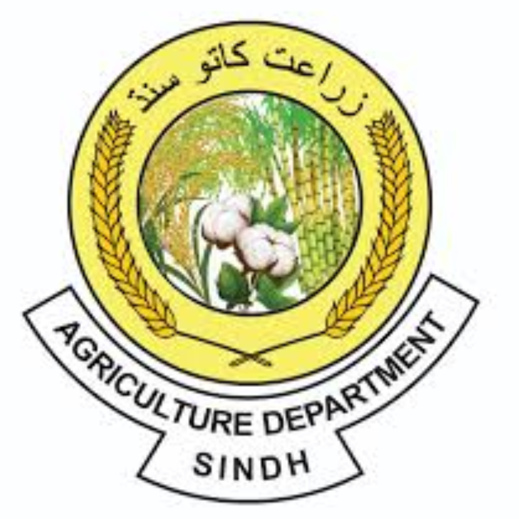 Sindh Wheat Growers Support Programme Logo